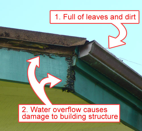 gutter cleaning and maintenance